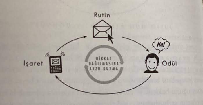 Alışkanlık Edinme: 21 Gün Kuralı ve Ötesi | Kalıcı Değişim için Bilimsel Stratejiler
